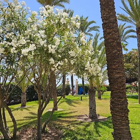 El Palmeral Playa De Locos טורבייחה